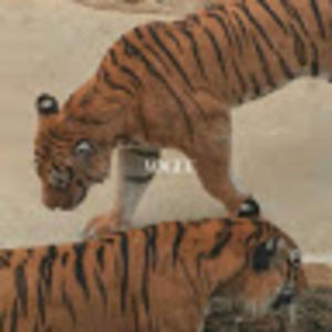 Meet your Posher, Sophia